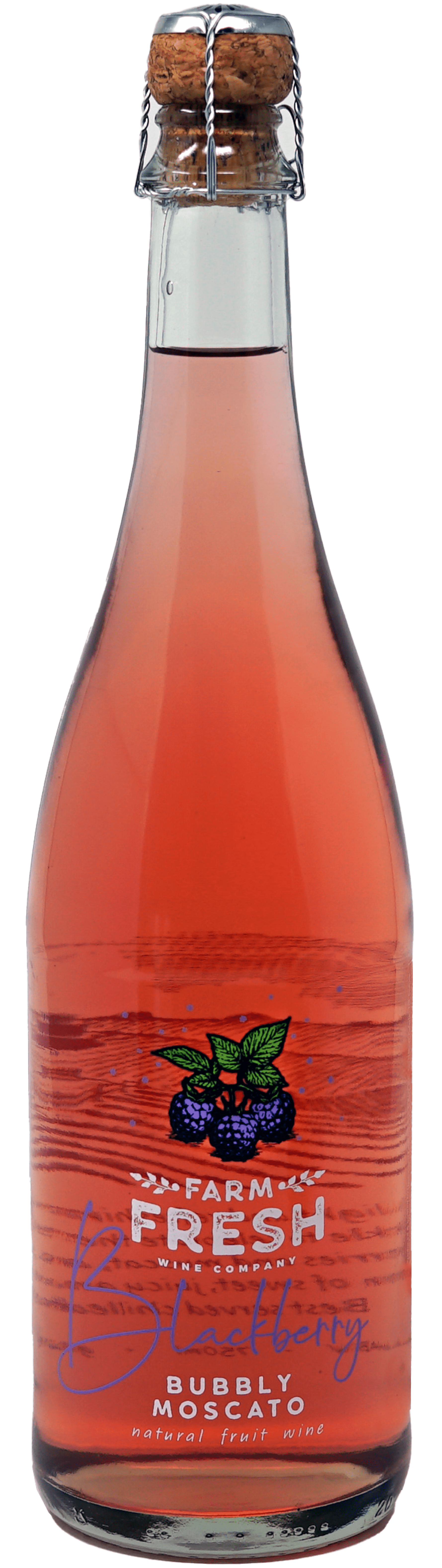 great lakes red bubbly can rear view with specs